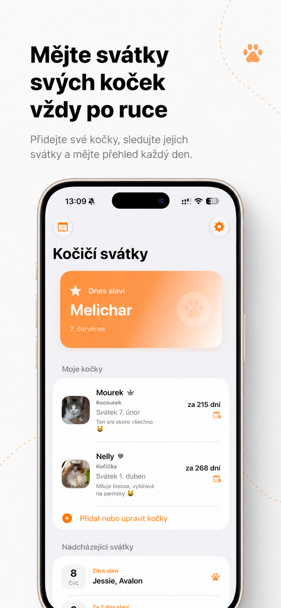 Kočičí svátky promotional screenshot